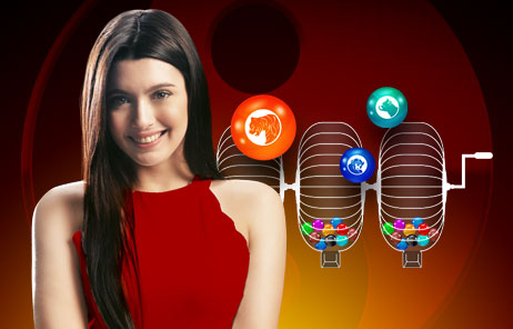 Dewatangkas : Game MM Bola Tangkas - Live Casino, Slot Game Terbaik